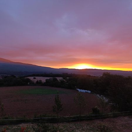 Mas Pitre Acomodação com café da manhã Besalú Exterior foto